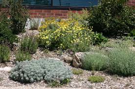 Xeriscape